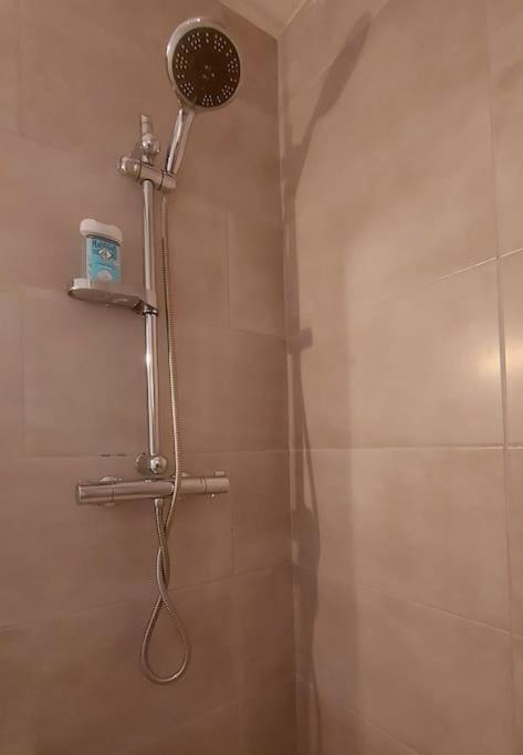 Zenith - Cartoucherie Apartment Toulouse Ngoại thất bức ảnh