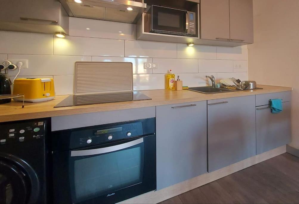 Zenith - Cartoucherie Apartment Toulouse Ngoại thất bức ảnh