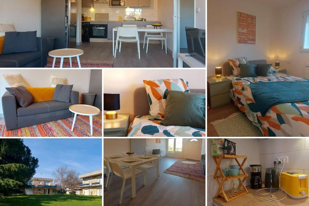 Zenith - Cartoucherie Apartment Toulouse Ngoại thất bức ảnh